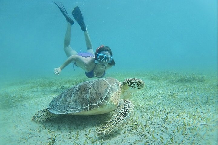 Snorkeling Tour to Vieques Island - Photo 1 of 7